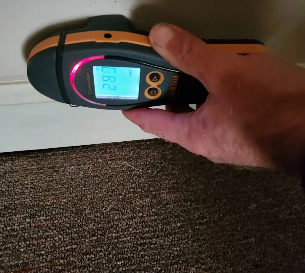 Moisture detection at baseboard during Sewage Cleanup & Sanitation in Milford